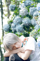 Natsume Yuujinchou_Flavour of summer