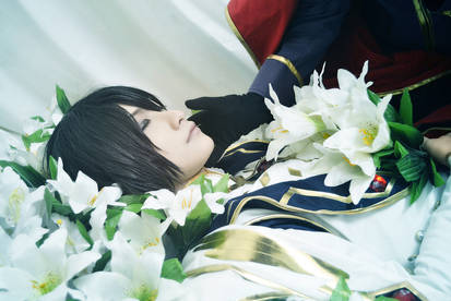 Code Geass_Wake up , my king