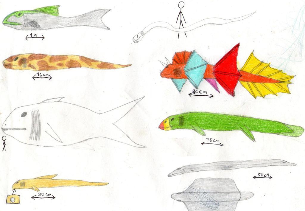 Fictional Fish Fictional Fishes by AdrianChevalley on DeviantArt