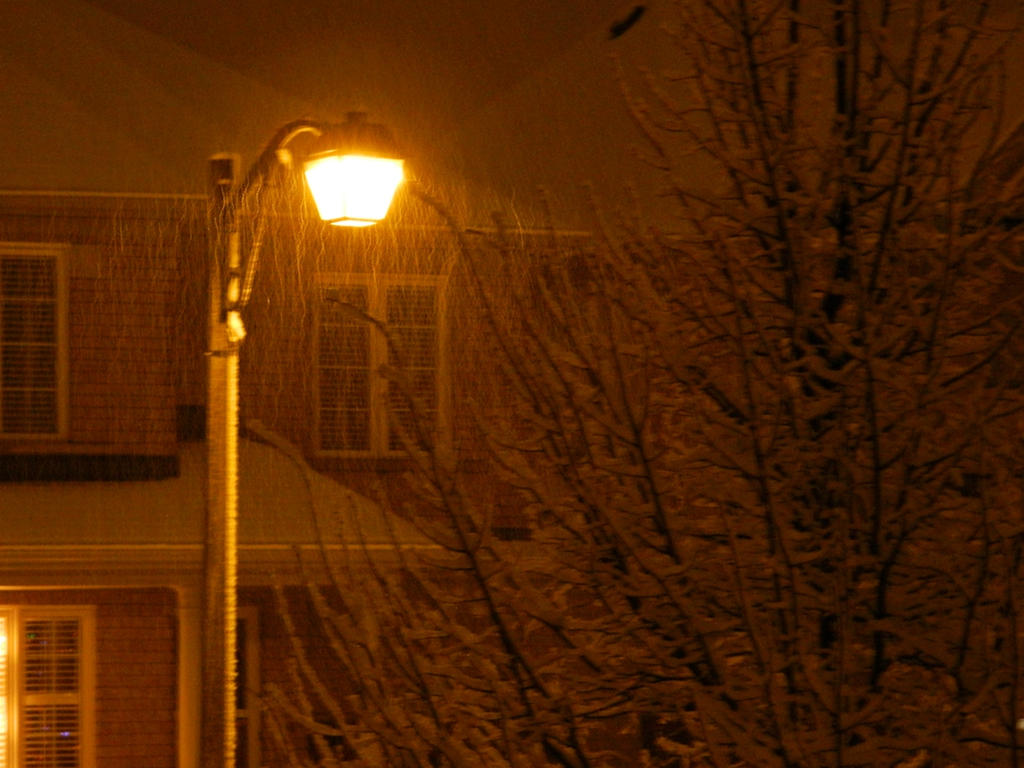 Snowy Night