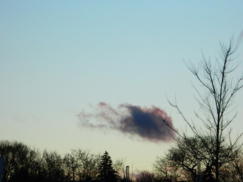 Giant Marshmallow