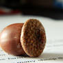 Acorn