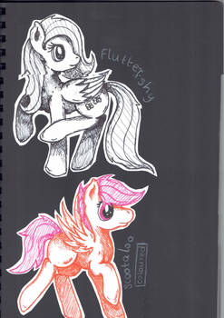 Colour Ink Test - Fluttershy and Scootaoo