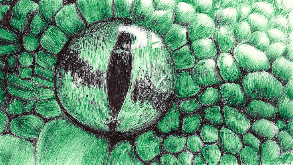 Green Tree Python by Adlaya on DeviantArt