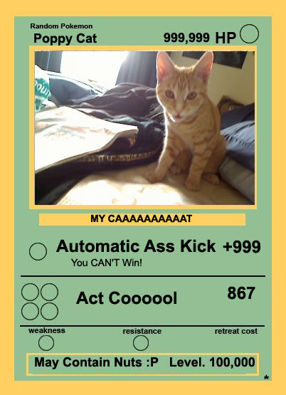 Funny Pokemon Cards By JamesM1 On DeviantArt funny-pokemon-cards-by-jamesm1-on-deviantart