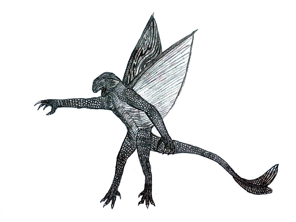 Flying Lizard Vector Flying Lizard by Bysthedragon on DeviantArt