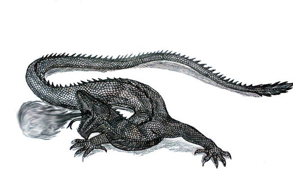 Lindworm On Dragon Studies DeviantArt