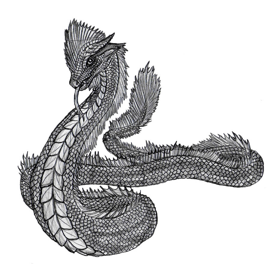 Wyrm by Bysthedragon on DeviantArt