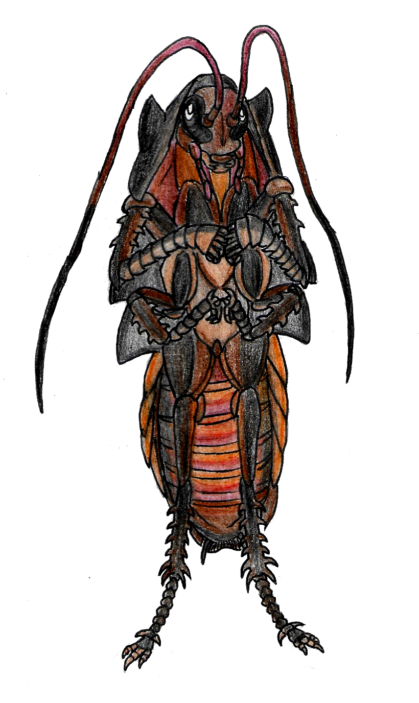 Dnd Cockroach Token The Roach by Bysthedragon on DeviantArt
