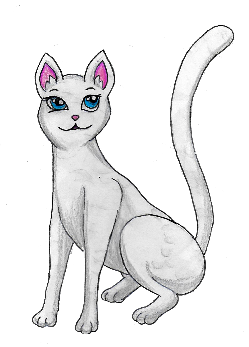 White Cat Drawing : r/cats