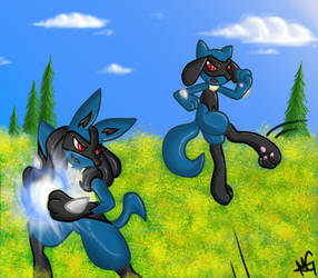 Commission: Lucario and Riolu