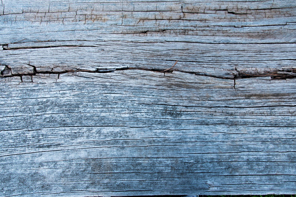 Wood Texture