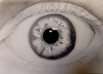 Detailed Eye Drawing