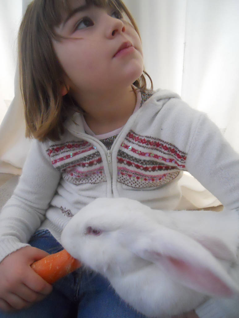 The Sneaky Rabbit by T-Rainbird on DeviantArt