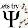 psi-ants bitches