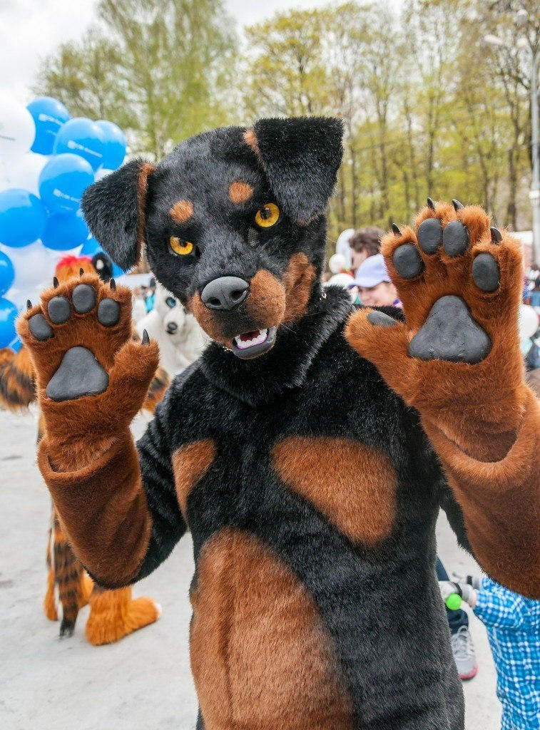 Yeah, I'm rottweiler! by Steele-IceHeart on DeviantArt