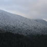 winter mountain forest stock cloudy storm sky