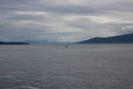 whale alaska ocean mountains bay stock