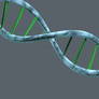 DNA Cinema 4D Project