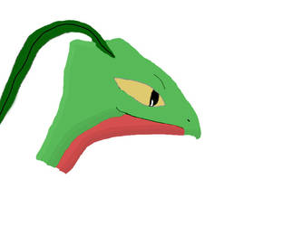 Grovyle face