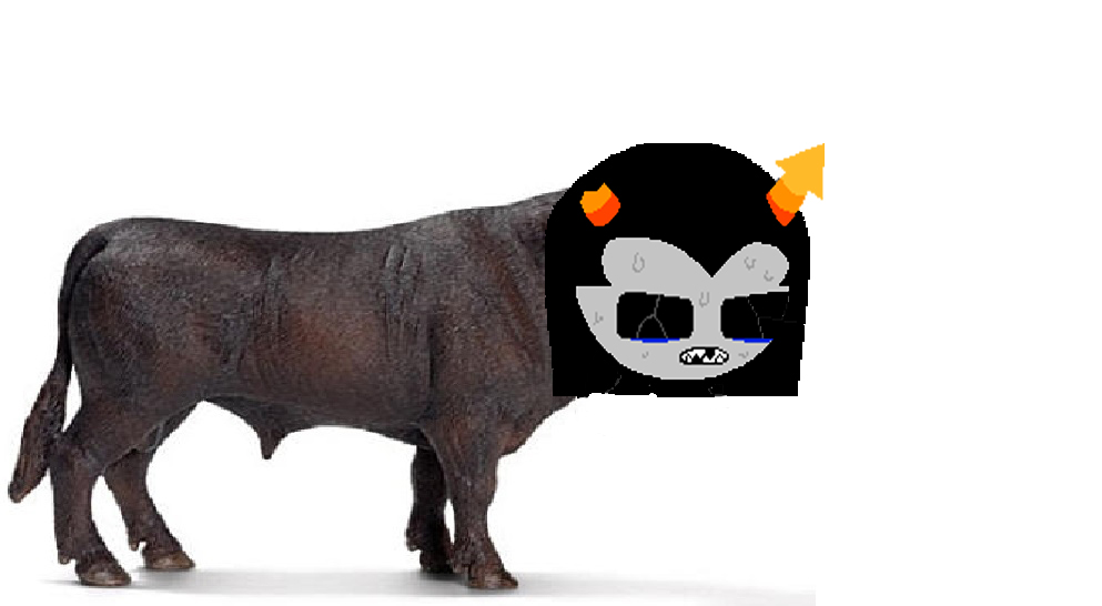 Equius Bull