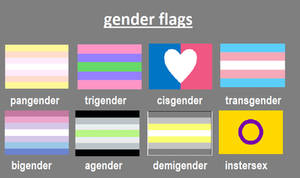 Gender Flags