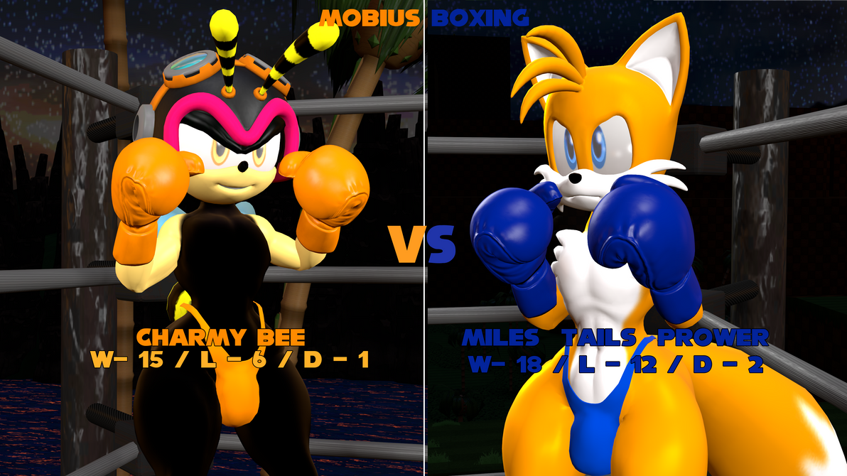 Deviantart Tails Boxing Mobius Boxing - Charmy VS Tails by UnknownFighter2010 on DeviantArt