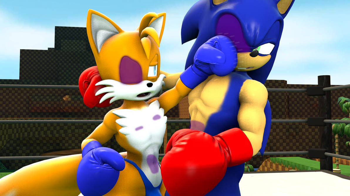 Deviantart Tails Boxing Commission: Tails VS Sonic (1 of 3) by UnknownFighter2010 on DeviantArt