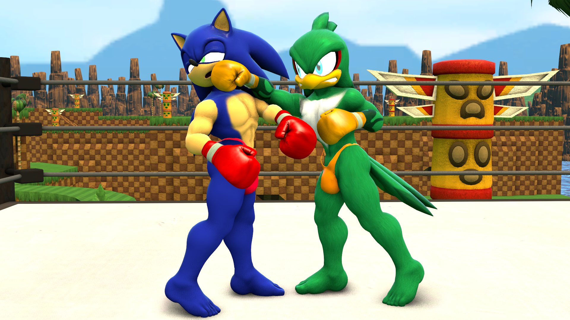Commission: Jet Vs Sonic 1 By Unknownfighter2010 On Deviantart