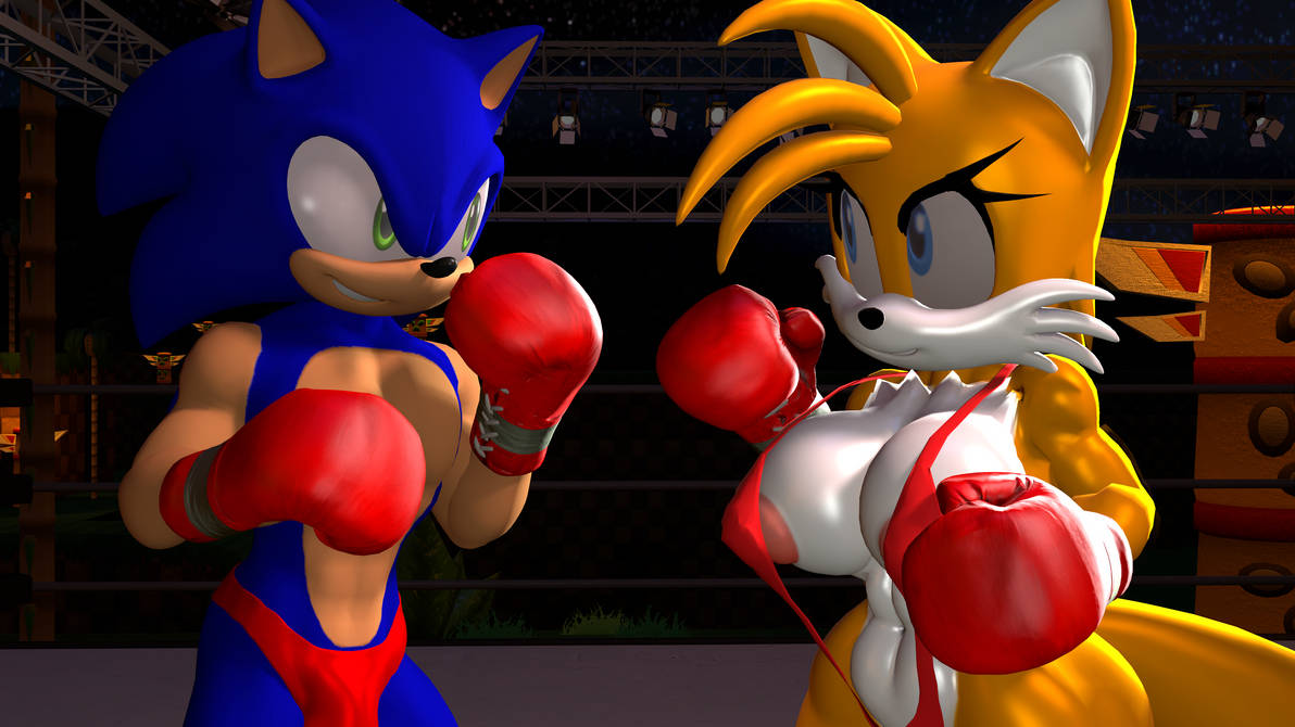 Deviantart Tails Boxing Sonic VS Tailsko 1 by UnknownFighter2010 on DeviantArt