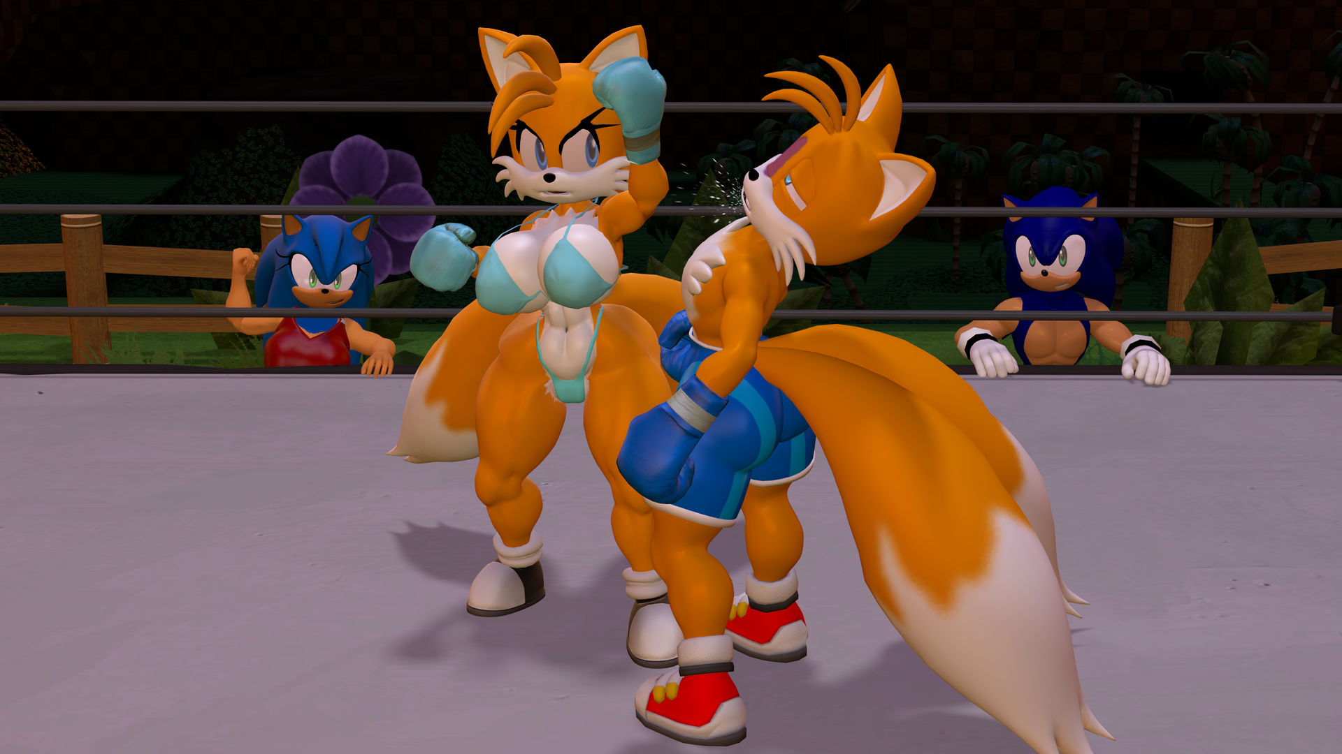 Deviantart Tails Boxing Tails' Boxing Gauntlet - VS Tailsko by UnknownFighter2010 on DeviantArt
