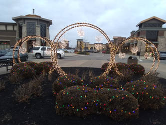 Christmas Decorations Bridgewater Falls