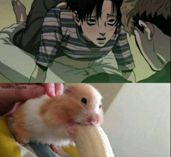 Its Just A Hamster Eating A Banana Deal With It By Animuxha On Deviantart Its Just A Hamster Eating A Banana Deal With It By Animuxha On Deviantart