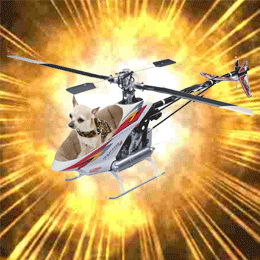 Dog Helicopter Gif by paulattacks on DeviantArt