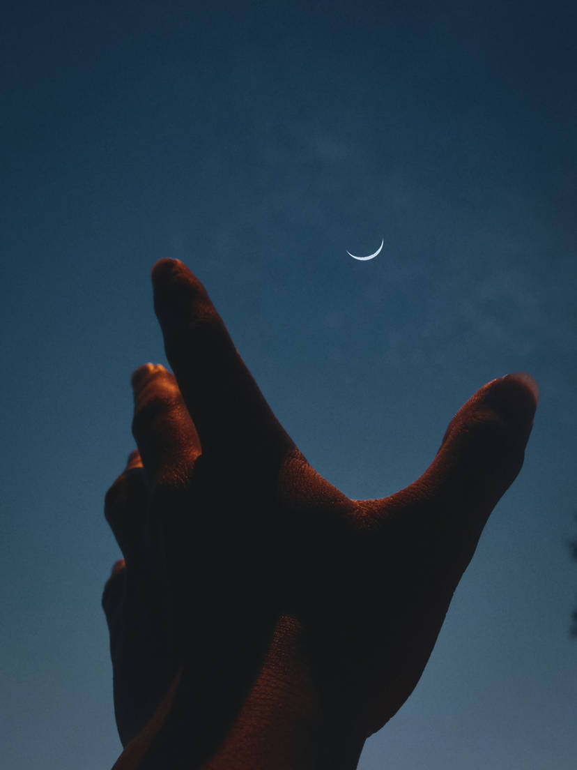 moon__ori__by_ombraniwolf_dm77s9c-414w-2x.jpg?token=eyJ0eXAiOiJKV1QiLCJhbGciOiJIUzI1NiJ9.eyJzdWIiOiJ1cm46YXBwOjdlMGQxODg5ODIyNjQzNzNhNWYwZDQxNWVhMGQyNmUwIiwiaXNzIjoidXJuOmFwcDo3ZTBkMTg4OTgyMjY0MzczYTVmMGQ0MTVlYTBkMjZlMCIsIm9iaiI6W1t7ImhlaWdodCI6Ijw9MTcwNyIsInBhdGgiOiIvZi9lZWIxZDY1Mi03Yzg4LTQzYzYtYTQ5OC0zMjIzMWVmNzc5OWYvZG03N3M5Yy1lMTM2YWI1NS04MTlhLTRmNzEtYTJlNy02NjlmMjM2YzQ3ZmYuanBnIiwid2lkdGgiOiI8PTEyODAifV1dLCJhdWQiOlsidXJuOnNlcnZpY2U6aW1hZ2Uub3BlcmF0aW9ucyJdfQ.YYfjXXiJsrDdx9BTyoiUQStWOVKG-RY7DgYCQPOXWkc