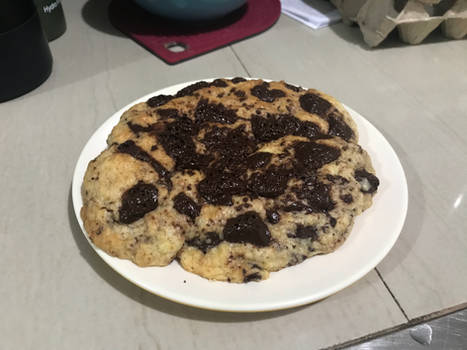 Freshly Baked Chocolate Chunk Cookie