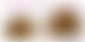 Milla's Summer Expansion