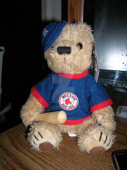 Red Sox Teddy