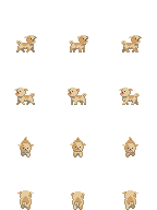 Shih tzu puppy - Sprite - Pixel art