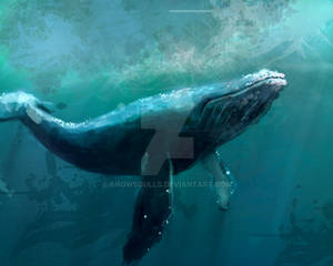 whale speedpaint