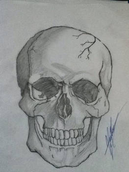 skull