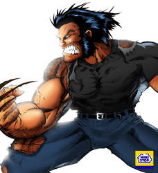 .: Wolverine :.
