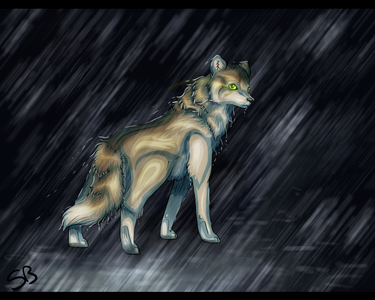 Stand in the Rain -redo-