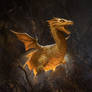 Dragon Hatchling