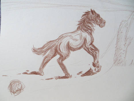 Brown Pencil Horse