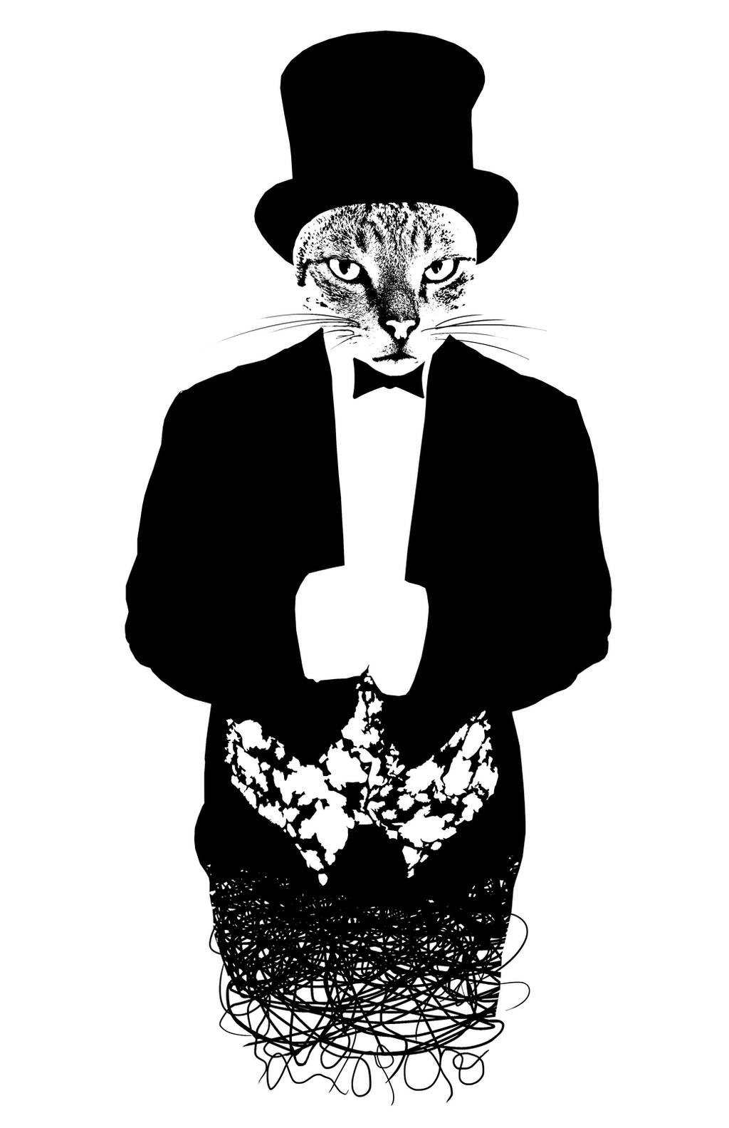 Cat in the Hat by BenGabbay