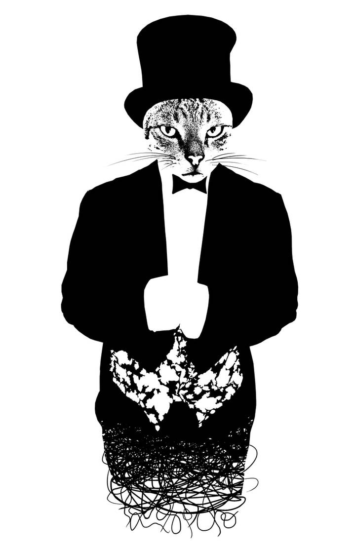 Cat in the Hat by BenGabbay