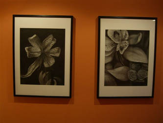 Charcoal Pieces-Flowers