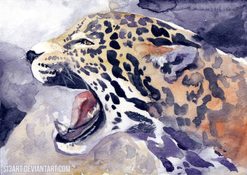 Jaguar-20min challenge-