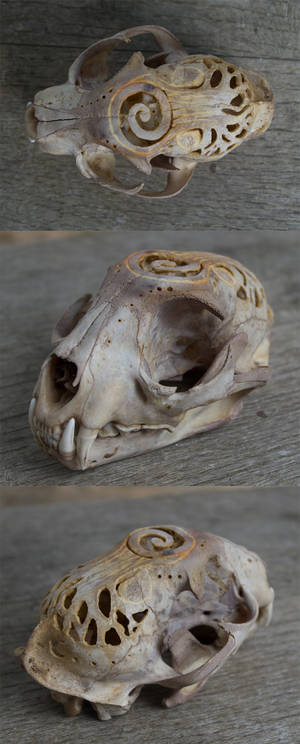 Carved Bobcat Skull